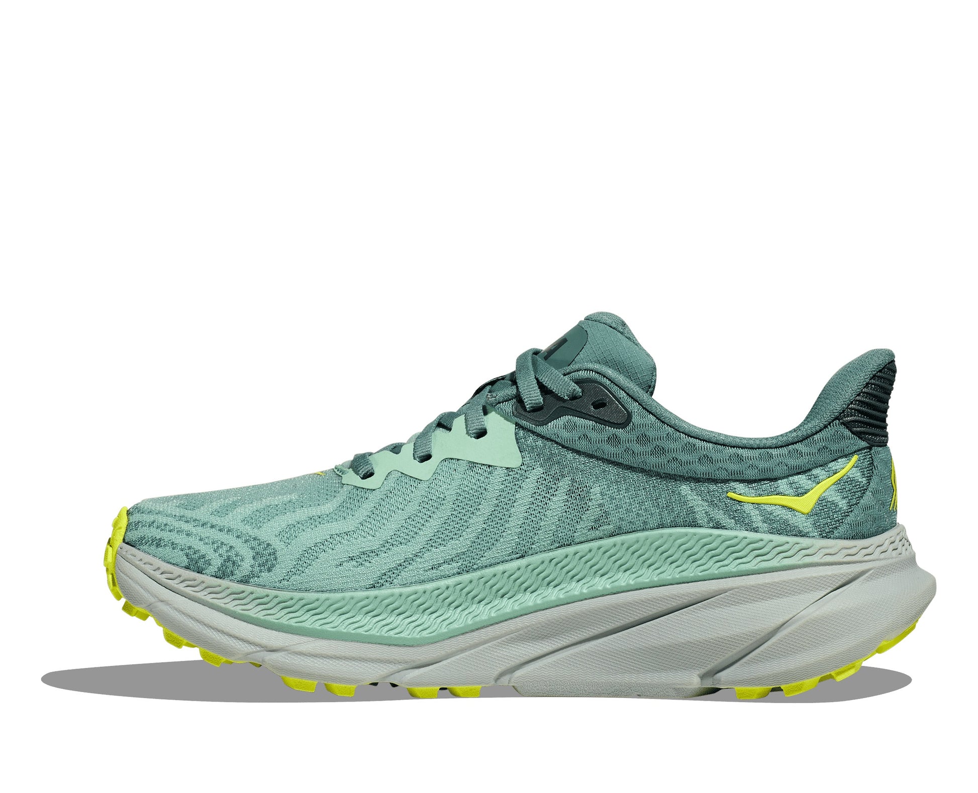 HOKA Challenger WIDE 7 - נעלי ספורט נשים הוקה צלנג'ר 7 רחבות